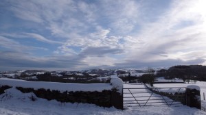 the in-country under snow